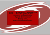 Slika2 siva osnova rdeč logo 200x140 - CALL TO SUBSCRIBE FOR SAE – ENQP Academy! We start with first Modul on 7th of January 2019! Now is time to apply and save 1.009,50€! Only until 29th of November, 2018! APPLY NOW!