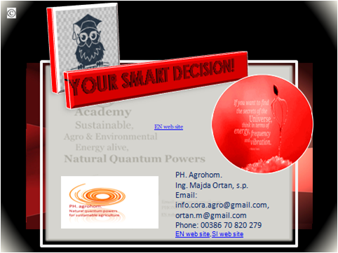 SLIKA KON%C4%8CNA SAE ACADEMY AKADEMIJA - Nourish love to your mind - what this mean in practice