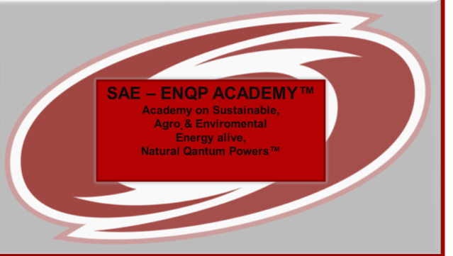 Slika2 siva osnova rdeč logo 1 - Now you may subscribe to attend on our SAE-ENQP TM Academy 2020; Program starting very soon!