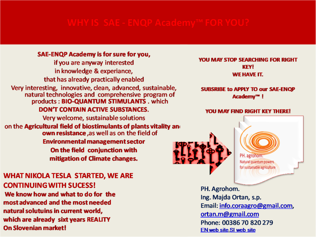 WHY IS SAE ENQO ACADEMY FOR YOU 1024x768 - Presentation of Director of the Company