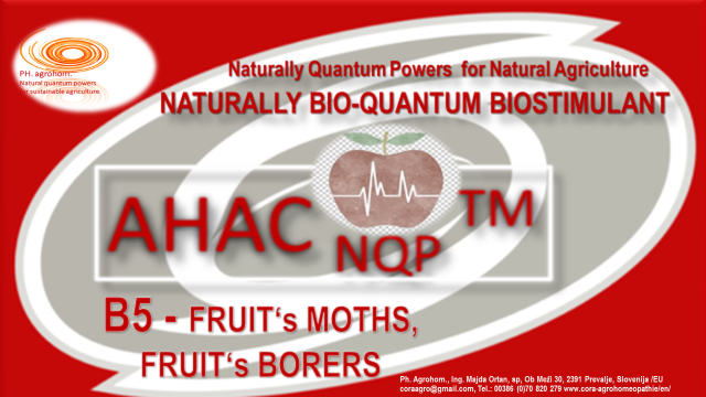 B5 AHAC NQP TM B5 Fruits moth Fruits borers - EXCELLENT NATURAL, BIO-QUANTUM SUSTAINABLE SOLUTION to NATURALLY  PREVENT PROBLEMS with Tomato Leaf Miner/ Moth (TUTA ABSOLUTA POVOLNY)