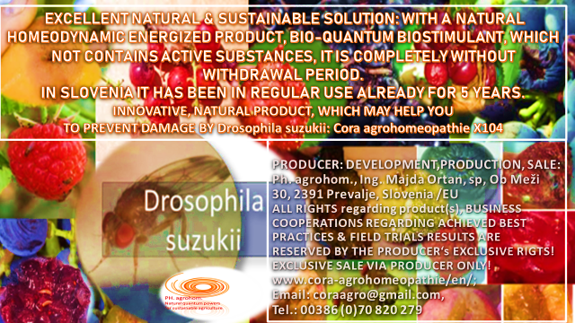 Drosophila suzukki www.cora agrohomeopathie.com  1 - WHEN THE PLANTS REMEMBER…,