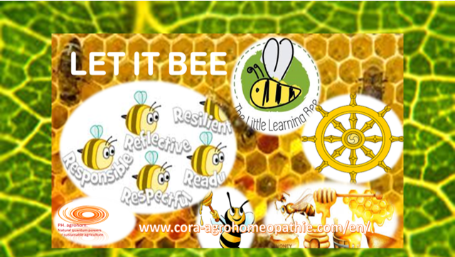 Slika4 - AN IMPORTANT SOLUTION FOR HUMANS and FOR HUMANITY, WHICH IS REVEAL TO US FROM NATURE BY - BEES