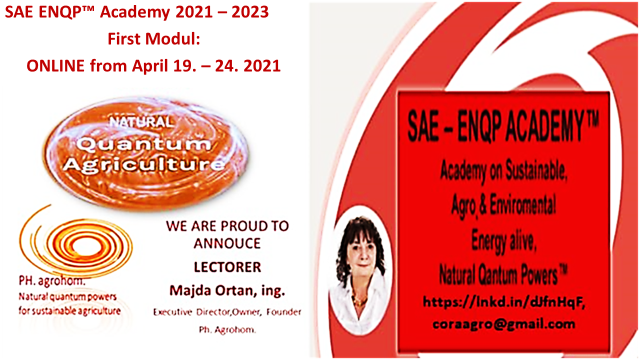 2 SAE ENQP TM Academy 2021 2023 First Modul April 19. 24. 2021 - SAE ENQP&#x2122; Academy 2021 - 2023:                           Enrolment for Attending!