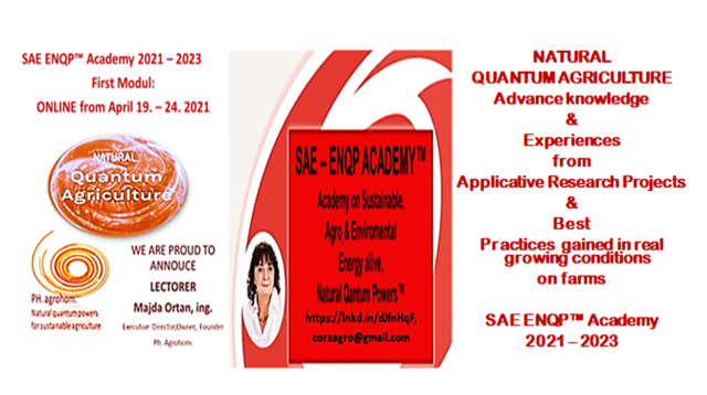 3 SAE ENQP TM Academy 2021 2023 First Modul April 19. 24. 2021 - SAE ENQP&#x2122; Academy 2021 - 2023:                           Enrolment for Attending!