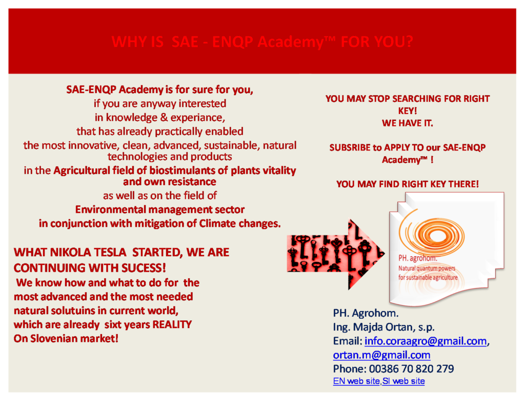 WHY IS SAE ENQP TM Academy for you 1024x768 - SAE ENQP&#x2122; Academy 2021 - 2023:                           Enrolment for Attending!