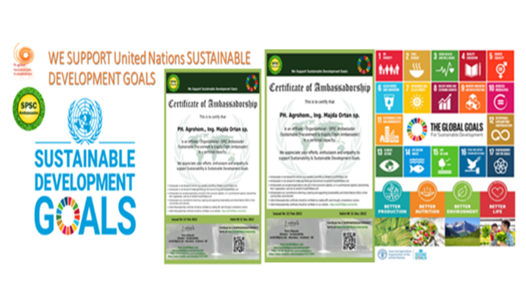 We Support UN GLOBAL GOALS ppt slika 1024x576 - Data about  the company