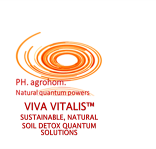 Logo VIVA VITALIS TM - Some of our exposed References in International Projects and in Slovenia