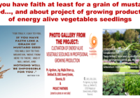 Slika3 200x140 - If you have faith at least for a grain of mustare seed..., and about our insightful Project of growing-production of Energy Alive vegetables seedlings