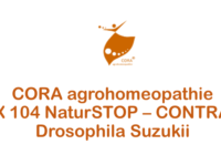 X 104 Slika 1 200x140 - EXCELLENT NATURAL&SUSTAINABLE SOLUTION to prevent problems with Drosophila suzukii