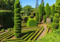 formal garden topiary 1024x1024 1 200x140 - Living heritage of parks and gardens