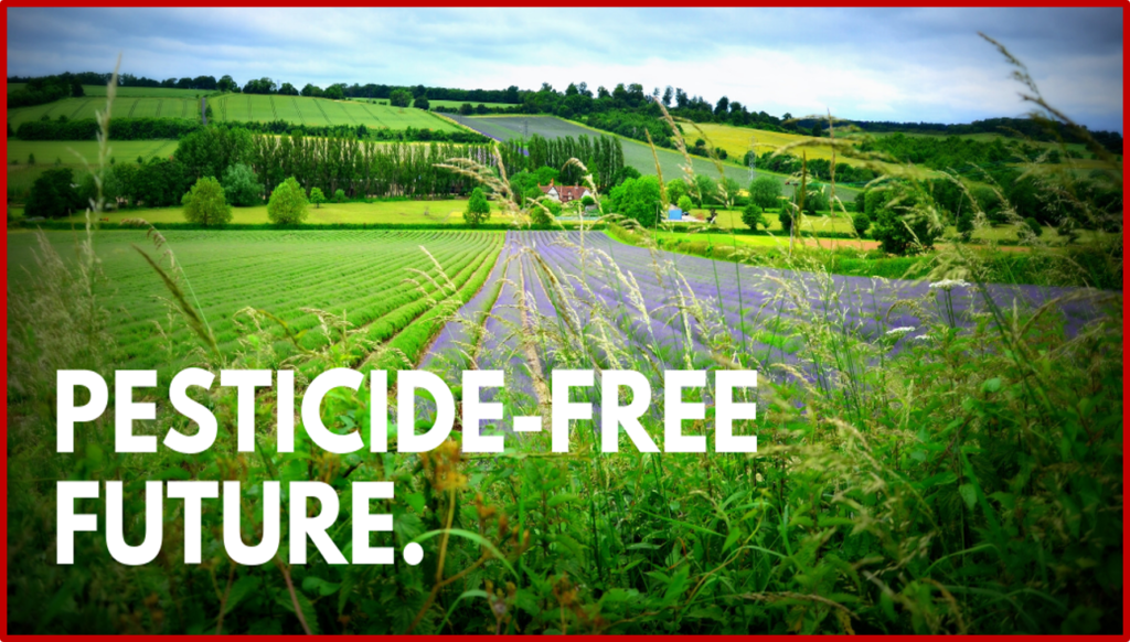 22222 1024x582 - The Brussels region is the first in the world not to allow the use of synthetic pesticides in agriculture