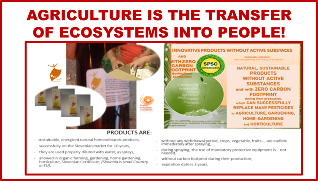 Agriculture is the transfer of ecosystems into people 1024x582 - EVERYTHING IS CONNECTED WITH EVERYTHING - THE INTERTWINING / INTERCONNECTED WHOLE LIVING and BEING