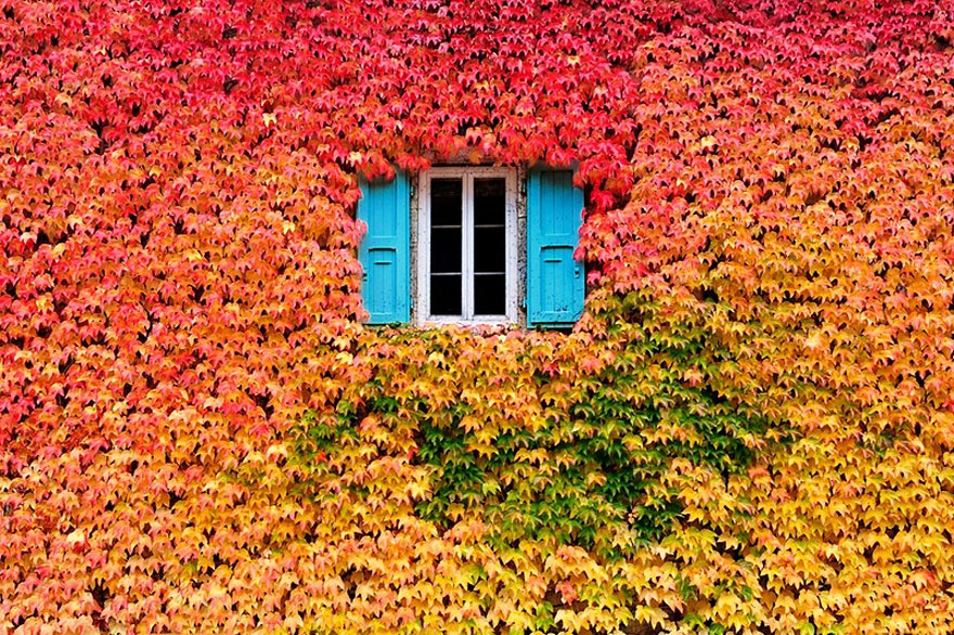 lepa autumn photography 2 2  880 - Poplave, topla jesen in prilagoditve - v kmetijstvu, vrtnarstvu, vrtičkarstvu - kaj in kako!