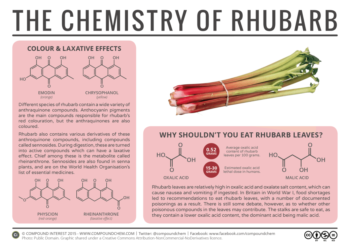 The Chemistry of Rhubarb 1448x1024 - Učinkovit naravni STOP  VSEM  ZELENJADNIM MUHAM, tudi čebulni muhi, česnovi muhi, porovi zavrtalki, peteršiljevi in korenjevi muhi, špargljevi muhi itd.