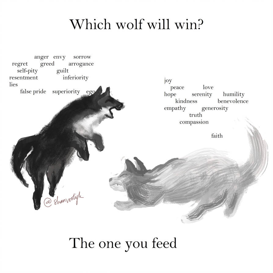 the one you feed   wolves by shanvrolijk dawgcqp pre - Roža življenja in njena sporočila