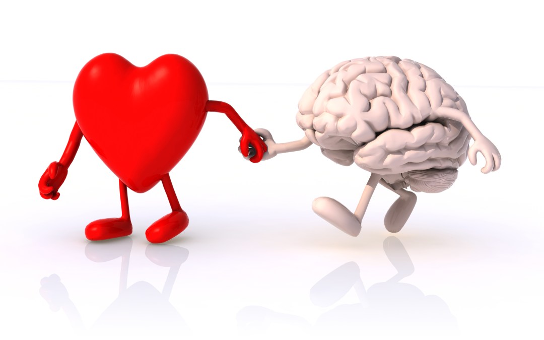 heart brain 1 - ZA VAŠ DEJANSKI KVANTNO KOHERENTNI PRESKOK V OSEBNEM ŽIVLJENJU IN V POSLU