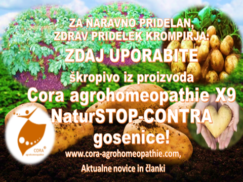 Za naravno pridelan zdrav pridelek krompirja uporabite proizvod Cora agrohomeopathie X9 NaturSTOP CONTRA gosenice - Naravno ubranite svoj krompir pred ličinkami koloradskega hrošča