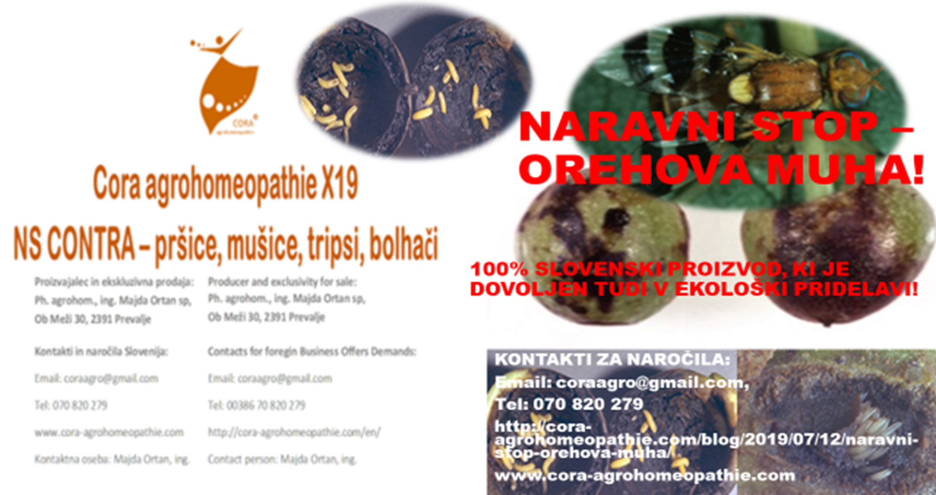 X19 oglasna kombinirana slika 2 1920x1015 - NARAVNI STOP - OREHOVA MUHA (Rhagoletis completa)