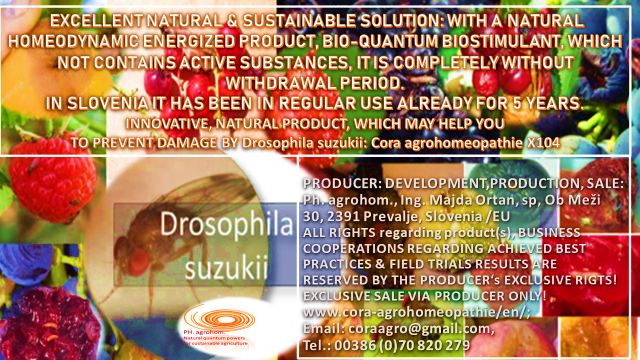 Drosophila suzukki www.cora agrohomeopathie.com  1 - EXCELLENT NATURAL & SUSTAINABLE SOLUTION to prevent problems with Drosophila suzukii
