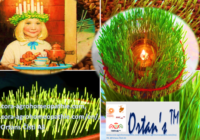 Božično žito sestavljena fotka 200x140 - Praznik Luči in Božično žito ter o pomembnih močeh starih običajev