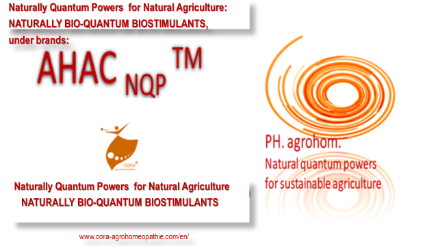 NATURALLY BIO QUANTUMBIOSTIMULANTS - Semena blagostanja - posejte si jih že sedaj!