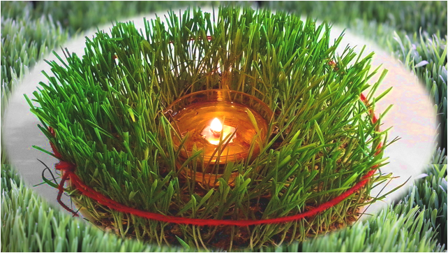 Slika1 - Praznik Luči in Božično žito ter o pomembnih močeh starih običajev