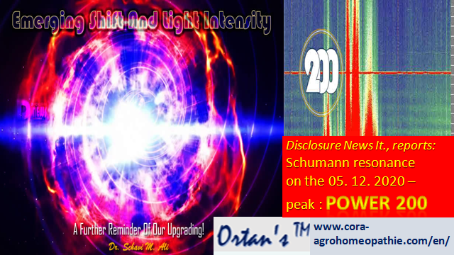 Slika4 Slika3 Ortans TM logotip in kontaktni podatki - Schumann Resonance Today, 05. 12. 2020 – Power 200