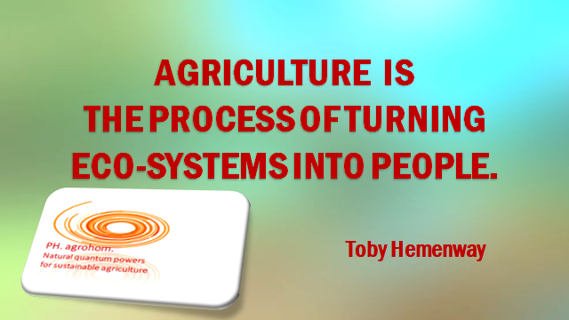 Agriculture is turning ecosystems into people 1 - Semena blagostanja - posejte si jih že sedaj!