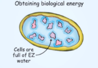 dr2. Source Structured Water - HER MAJESTY - WATER: The realization that water is in fact also a battery