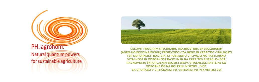 baner Slovenski - Zelenjadne in sadne muhe vam lahko uničijo pridelek- koristite sonaravne rešitve!