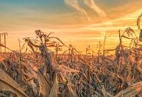 Drought.gov  200x137 - VPLIV VROČINE, SUŠE, SVETLOBNEGA SEVANJA in POŽARNEGA STRESA na NARAVNO ŽIVOST TAL