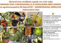 Marmorirana smrdljivka oglasna slika 1 200x140 - MARMORIRANA SMRDLJIVKA - Nočna mora vseh pridelovalcev