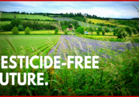 22222 200x140 - The Brussels region is the first in the world not to allow the use of synthetic pesticides in agriculture