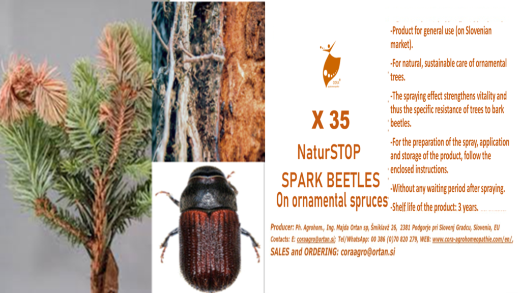 Bark beetle 2 1024x576 - Climate consciousness and the reimagining of forest ecosystems within the rule of law