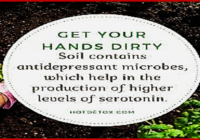 Soil is antidepressive 200x140 - What do GARDENs, DIRT / EARTH and PROZAC have in common