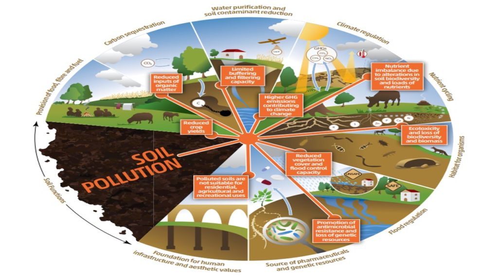 soil polution fao 1024x576 - Soil pollution is responsible for 20% of agricultural productivity loss